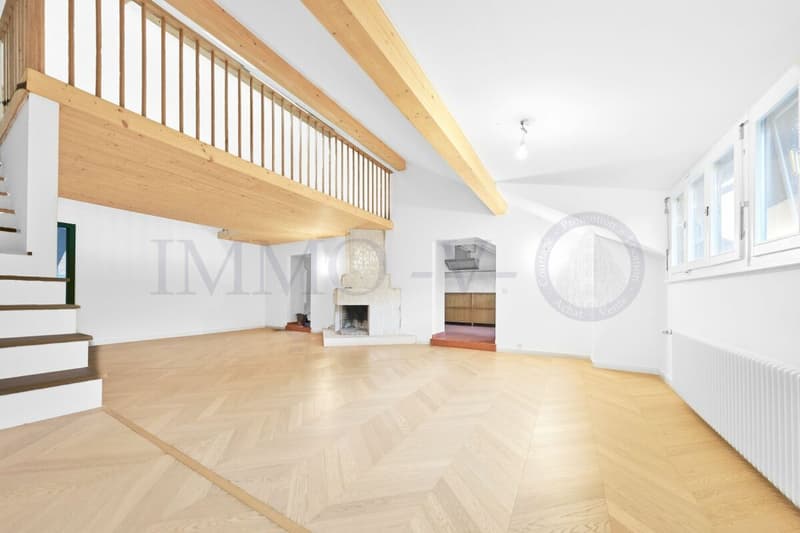 SPACIEUX ATTIQUE RENOVE DE STANDING AVEC EMPLACEMENT IDEAL (2)