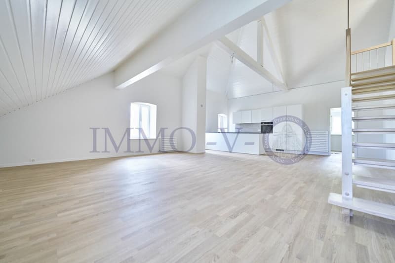 DUPLEX DE STANDING AVEC BEAU VOLUME (1)