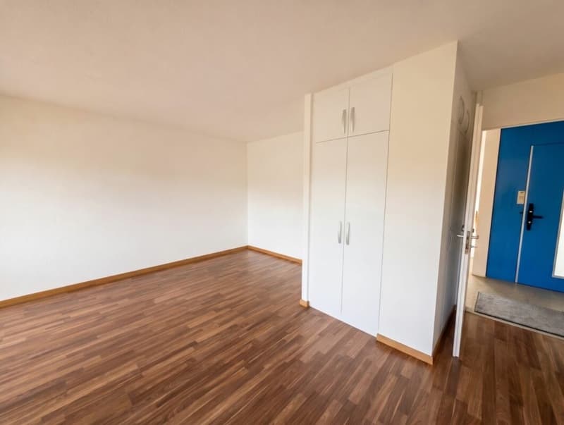 Magnifique 2.5 pièces entièrement rénové avec balcon privatif ! (4)