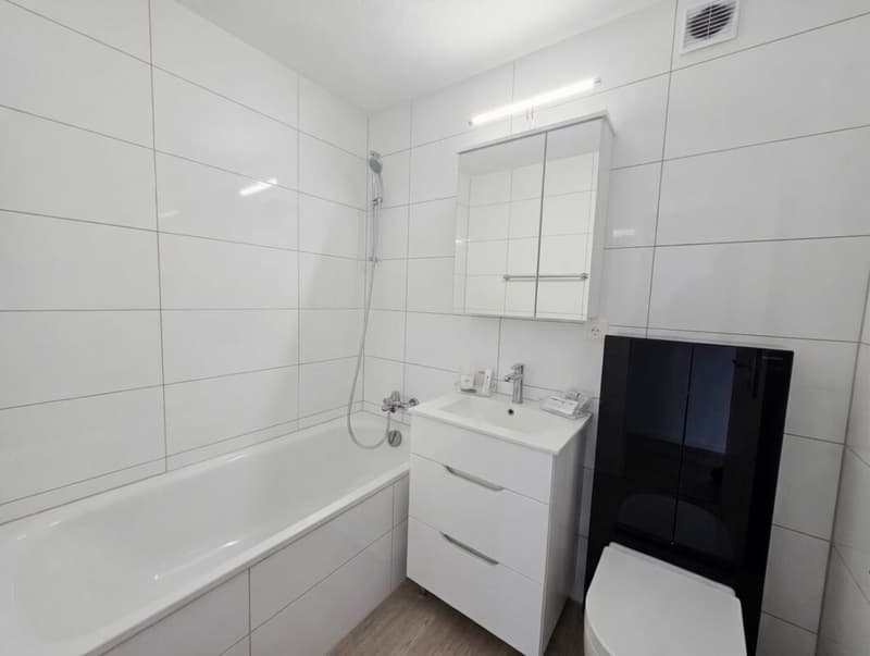 Magnifique 2.5 pièces entièrement rénové avec balcon privatif ! (3)
