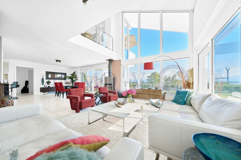 DE STANDING AVEC GRAND JARDIN ET VUE LAC (4)