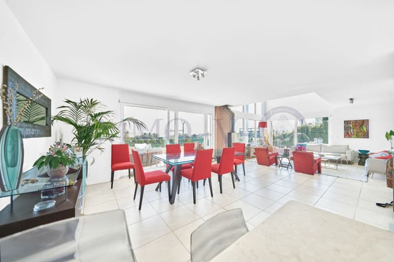 DE STANDING AVEC GRAND JARDIN ET VUE LAC (5)