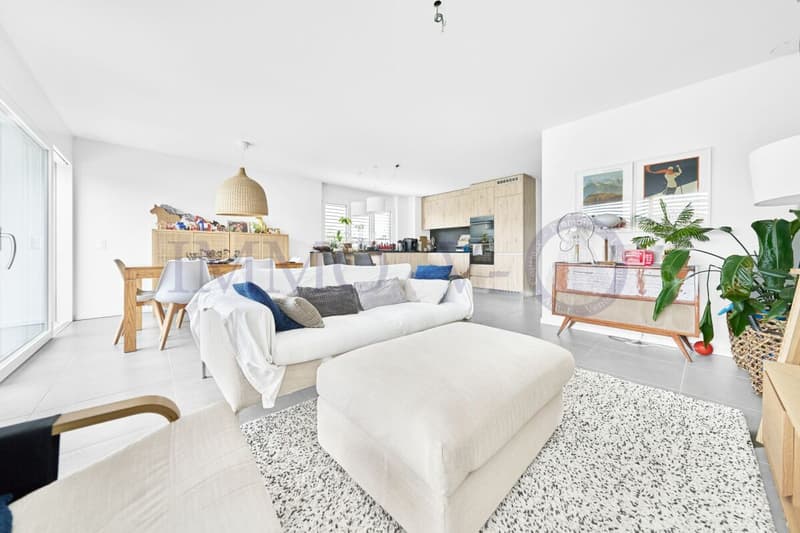 CONTEMPORAINE ET SPACIEUSE AVEC JARDIN AVEC SITUATION IDEALE (2)