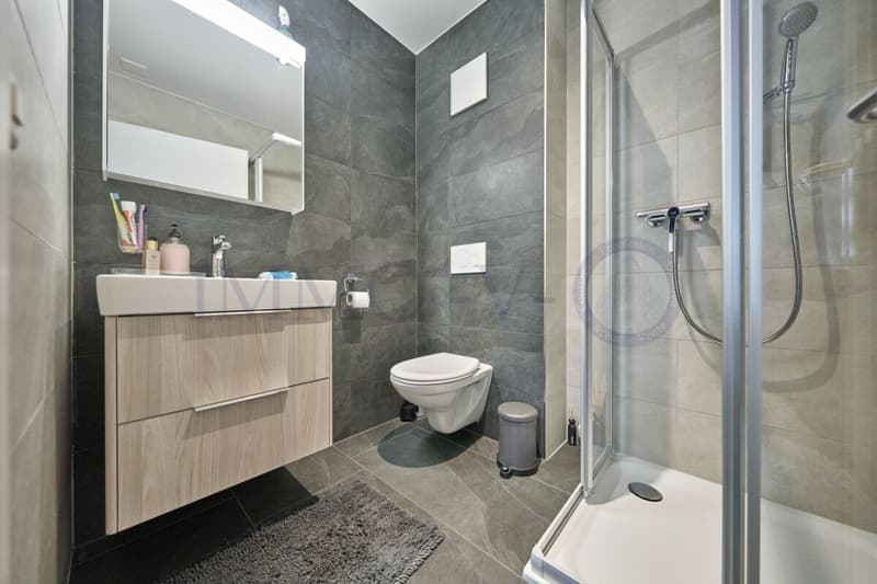 CONTEMPORAINE ET SPACIEUSE AVEC JARDIN AVEC SITUATION IDEALE (6)