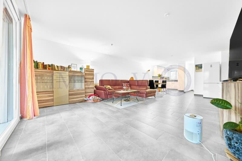 SPACIEUX AVEC GRAND JARDIN ET EMPLACEMENT IDEAL (2)