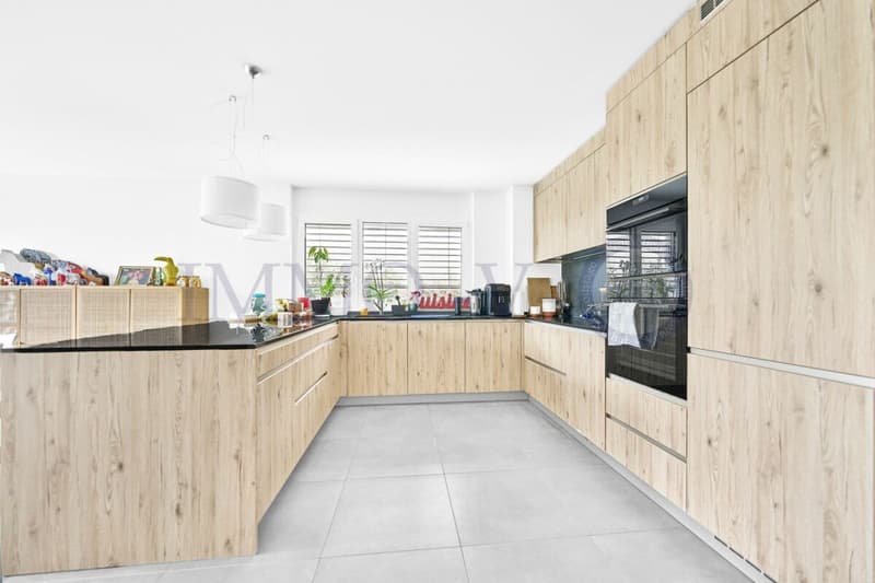 CONTEMPORAINE ET SPACIEUSE AVEC JARDIN AVEC SITUATION IDEALE (3)