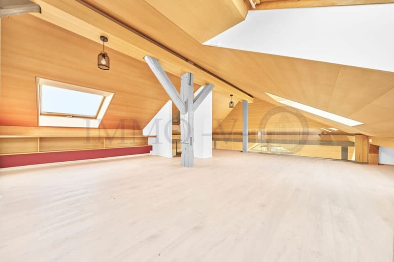 SPACIEUX DUPLEX EN ATTIQUE DE HAUT STANDING AU CENTRE (10)