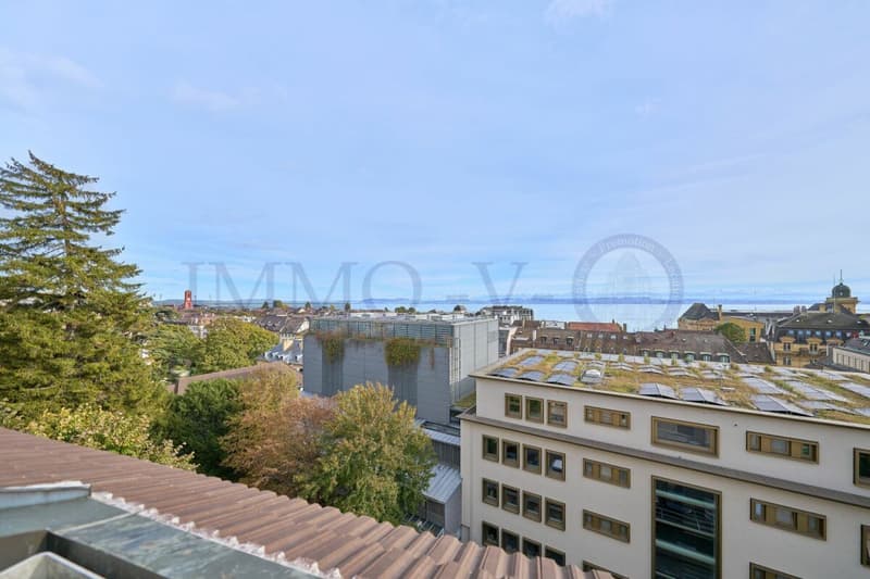 SPACIEUX DUPLEX EN ATTIQUE DE HAUT STANDING AU CENTRE (6)