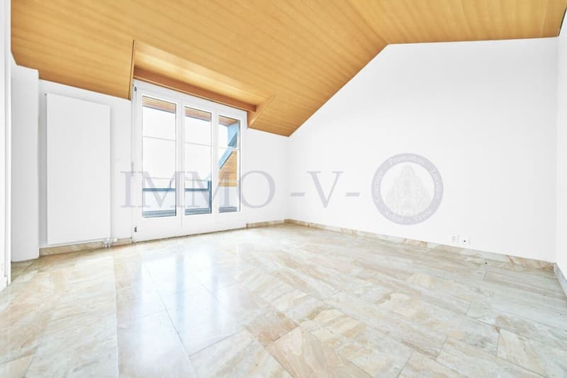 SPACIEUX DUPLEX EN ATTIQUE DE HAUT STANDING AU CENTRE (8)