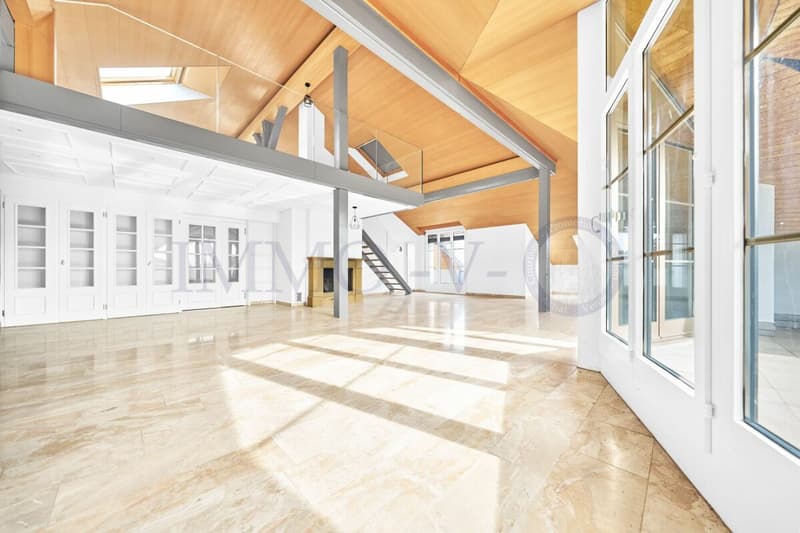 SPACIEUX DUPLEX EN ATTIQUE DE HAUT STANDING AU CENTRE (1)