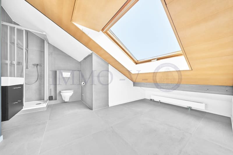 SPACIEUX DUPLEX EN ATTIQUE DE HAUT STANDING AU CENTRE (12)