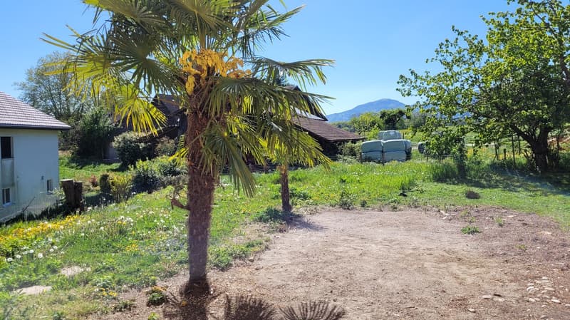 Villa 150 m² in Giez — Jura view, calm and full of potential (4)