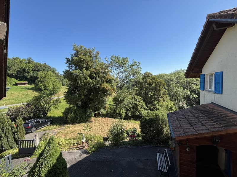 Selten: 2 Häuser mit Solaranlage + Wärmepumpe · Pool · 5 Minuten von Yverdon (18)