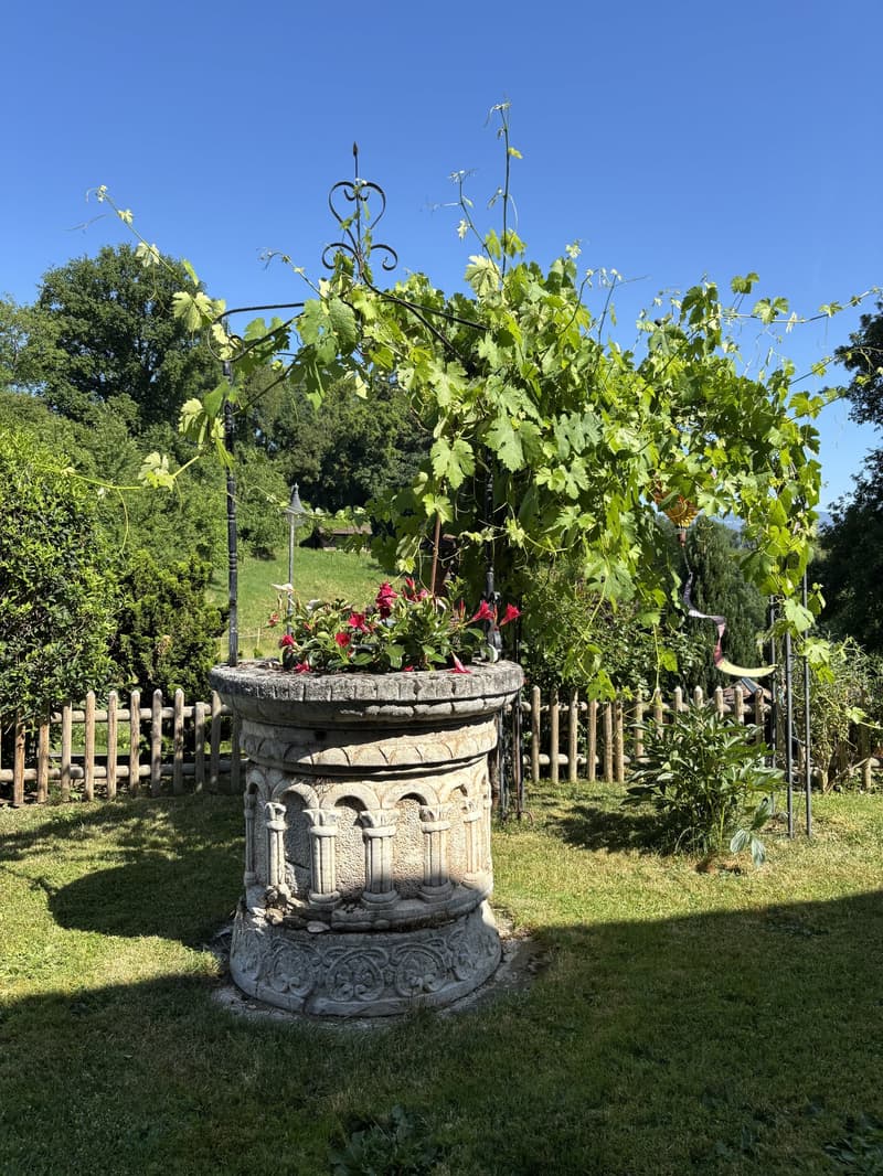 Selten: 2 Häuser mit Solaranlage + Wärmepumpe · Pool · 5 Minuten von Yverdon (3)