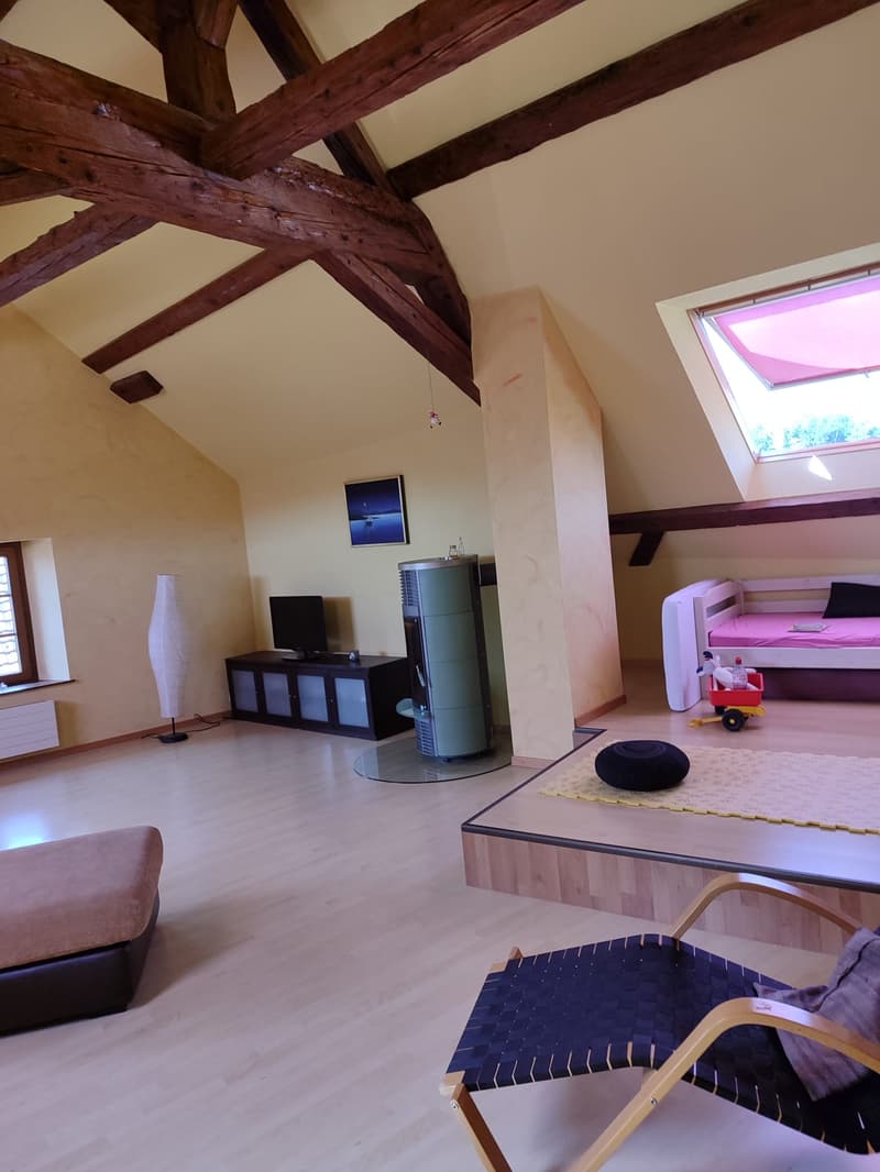 Spacieux duplex de 5.5pièces avec cachet (3)