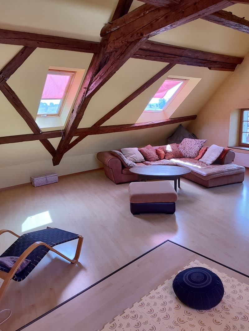 Spacieux duplex de 5.5pièces avec cachet (2)