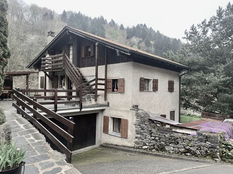 A voir absolument maison de 3 appartements sise au calme dans un écrin de nature (4)