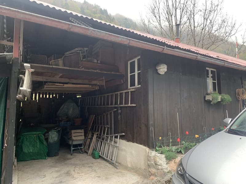 A voir absolument maison de 3 appartements sise au calme dans un écrin de nature (6)