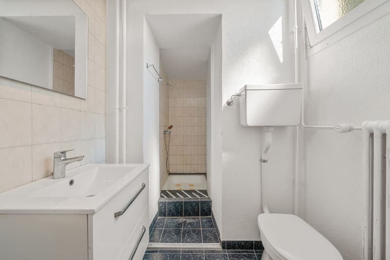 Immeuble de 2 lots (12)