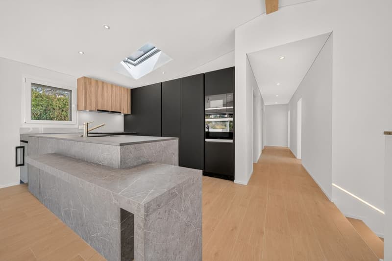 NEUF 2025 - UNE VILLA CONTEMPORAINE AUX MULTIPLES POSSIBILITÉS (3)