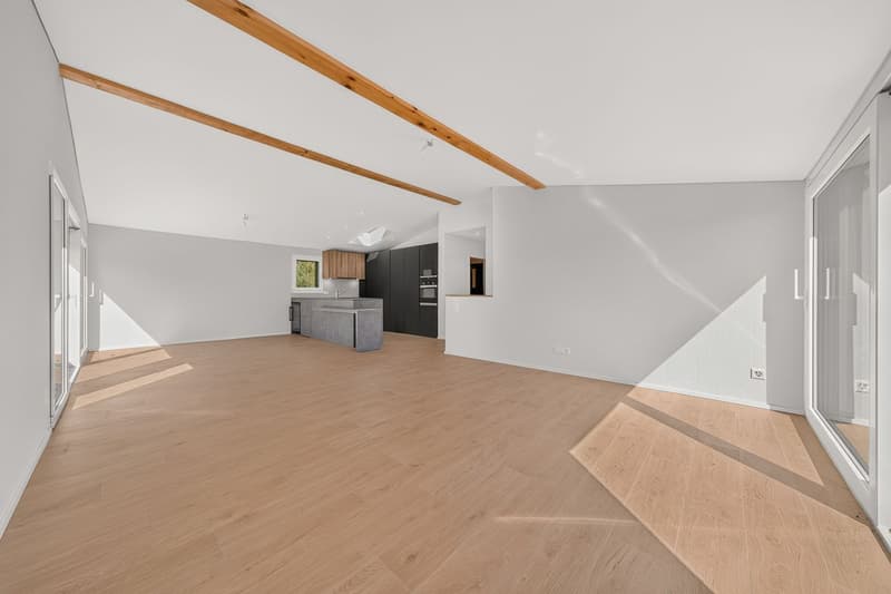 Appartement neuf de 4,5 pièces avec terrasses et vue sur les Préalpes (3)