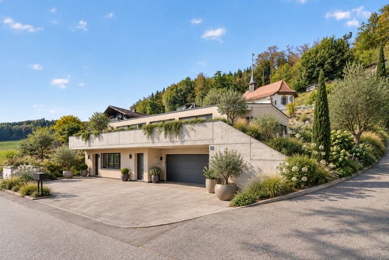 NEUF 2025 - UNE VILLA CONTEMPORAINE AUX MULTIPLES POSSIBILITÉS (2)