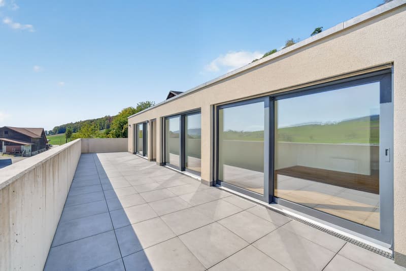 Appartement neuf de 4,5 pièces avec terrasses et vue sur les Préalpes (3)