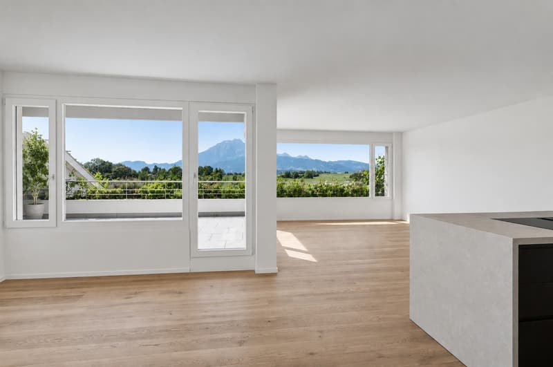 Alpine views - Kernsanierte Terrassenwohnung (1)