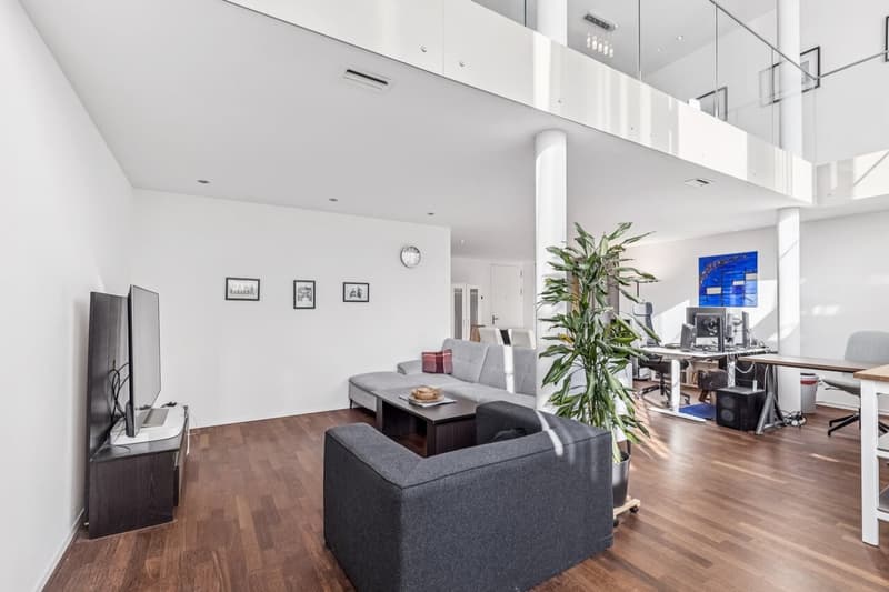 Maisonette-Wohnung mit grosszügigem Wohnatelier (2)