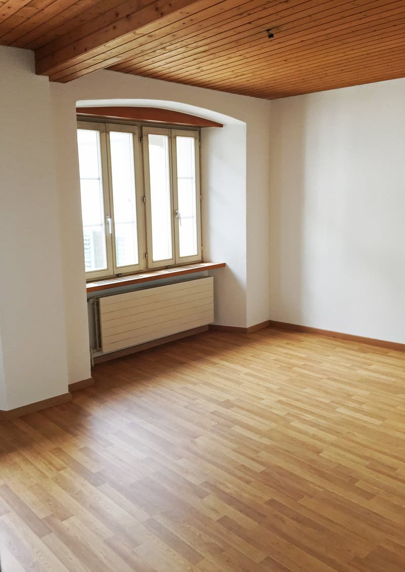 Very central apartment near the lake (4)