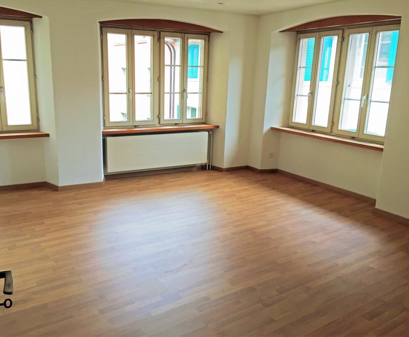 Very central apartment near the lake (3)