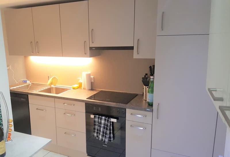 Very central apartment near the lake (2)