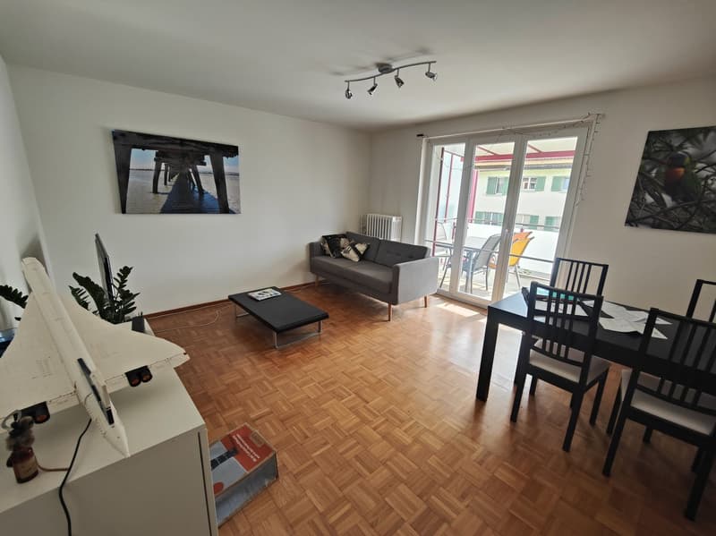 Appartement de 3 pièces très central et calme à louer! (2)
