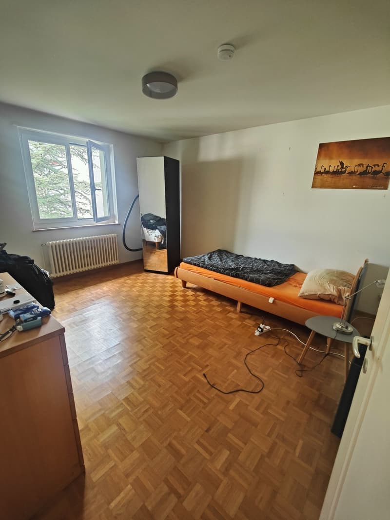 Appartement de 3 pièces très central et calme à louer! (6)