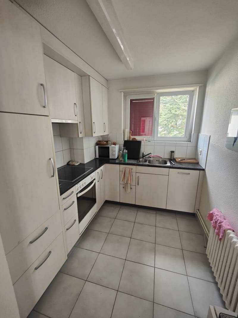 Appartement de 3 pièces très central et calme à louer! (3)