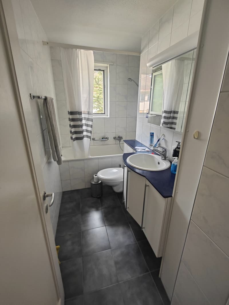 Appartement de 3 pièces très central et calme à louer! (4)