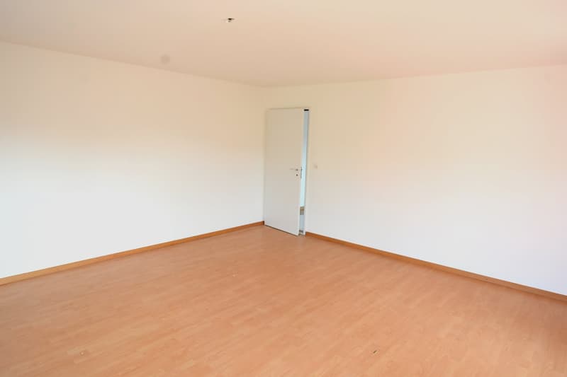 Ihr neues Zuhause - grosszügige Wohnung! (7)