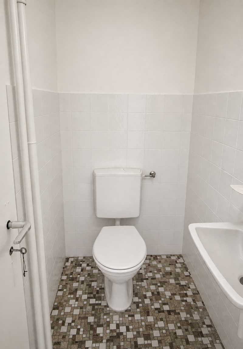 Ihr neues Zuhause - grosszügige Wohnung! (10)