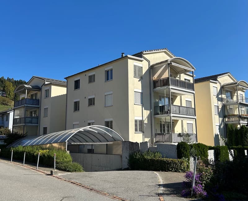 Helle 4.5-Zimmer-Dachwohnung mit Balkon in Uznach (1)