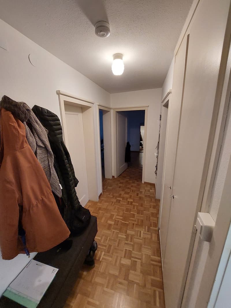Gemütliche 3-Zimmer-Wohnung zu vermieten (4)