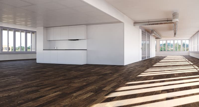 Exceptional opportunity for medical office/cabinet: doctors, psychologists, pediatricians, dentists, etc. from 85 to 114 m2 (12)