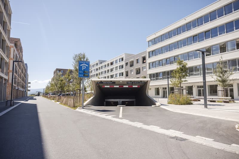 Exceptional opportunity for medical office/cabinet: doctors, psychologists, pediatricians, dentists, etc. from 85 to 114 m2 (7)