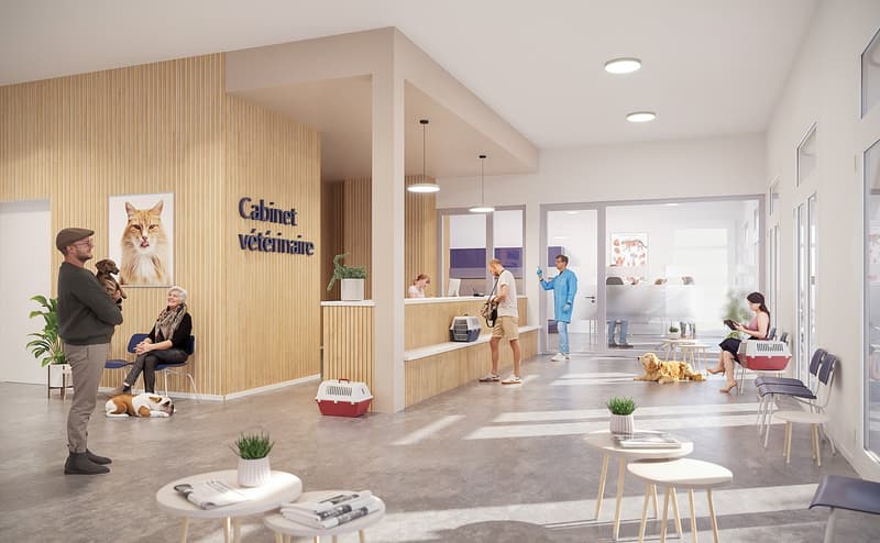 Exceptional opportunity for medical office/cabinet: doctors, psychologists, pediatricians, dentists, etc. from 85 to 114 m2 (5)
