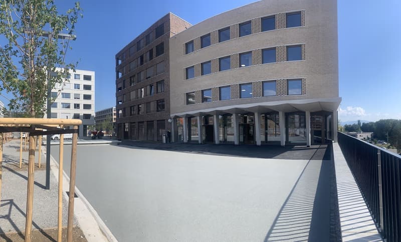 Exceptional opportunity for your offices of 387 m2, divisible into 100/200 m2 (7)