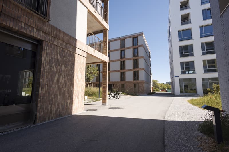 VaudBureaux modernes avec vue sur le Lac de 100 à 239 m2 ! (3)