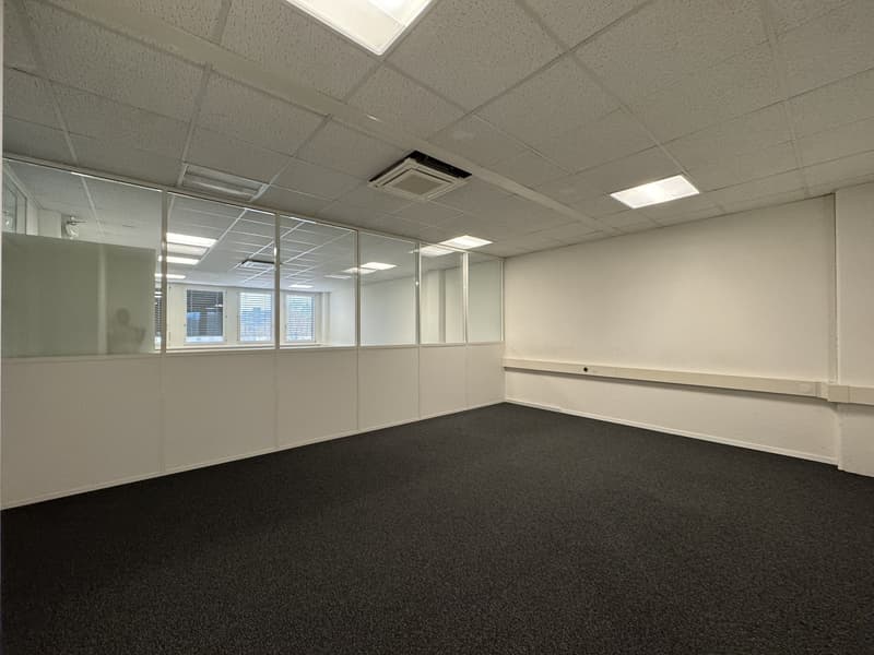 Renovated offices turnkey, available immediately (5)