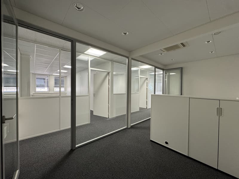 Renovated offices turnkey, available immediately (4)