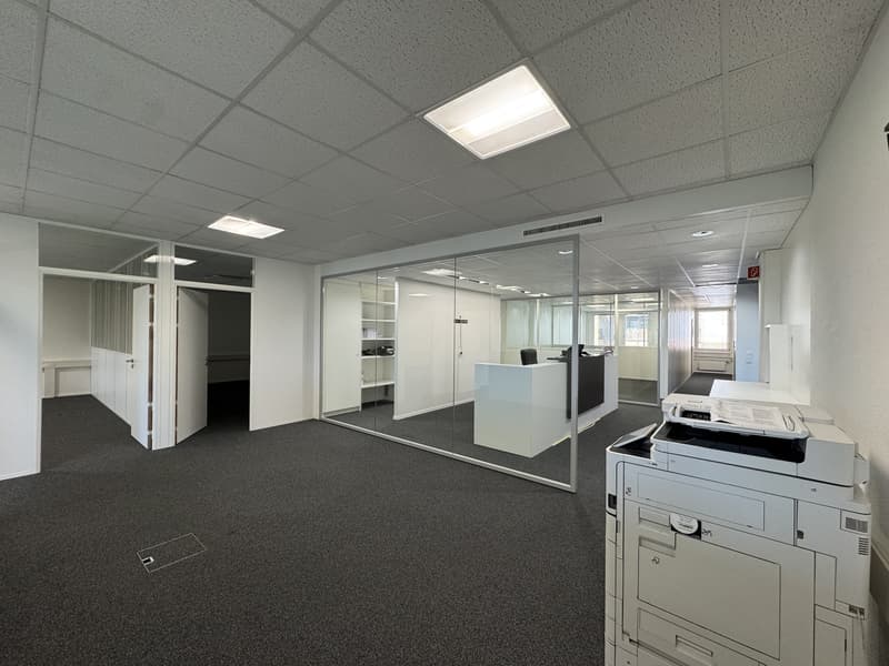 Renovated offices turnkey, available immediately (3)