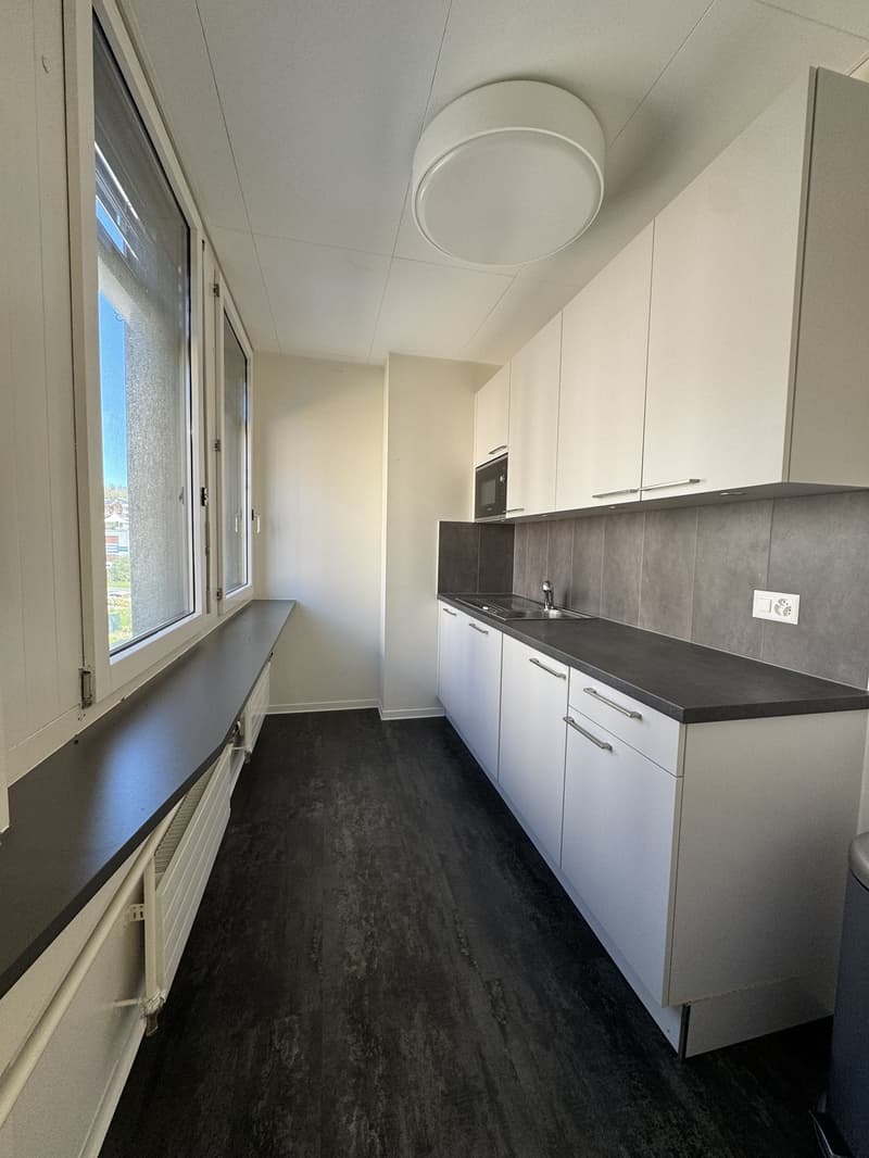 Renovated offices turnkey, available immediately (6)