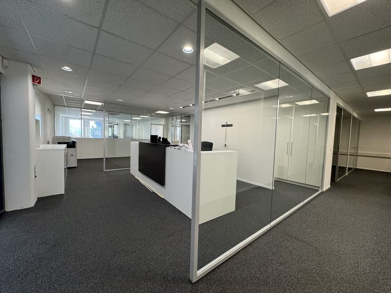 Renovated offices turnkey, available immediately (2)